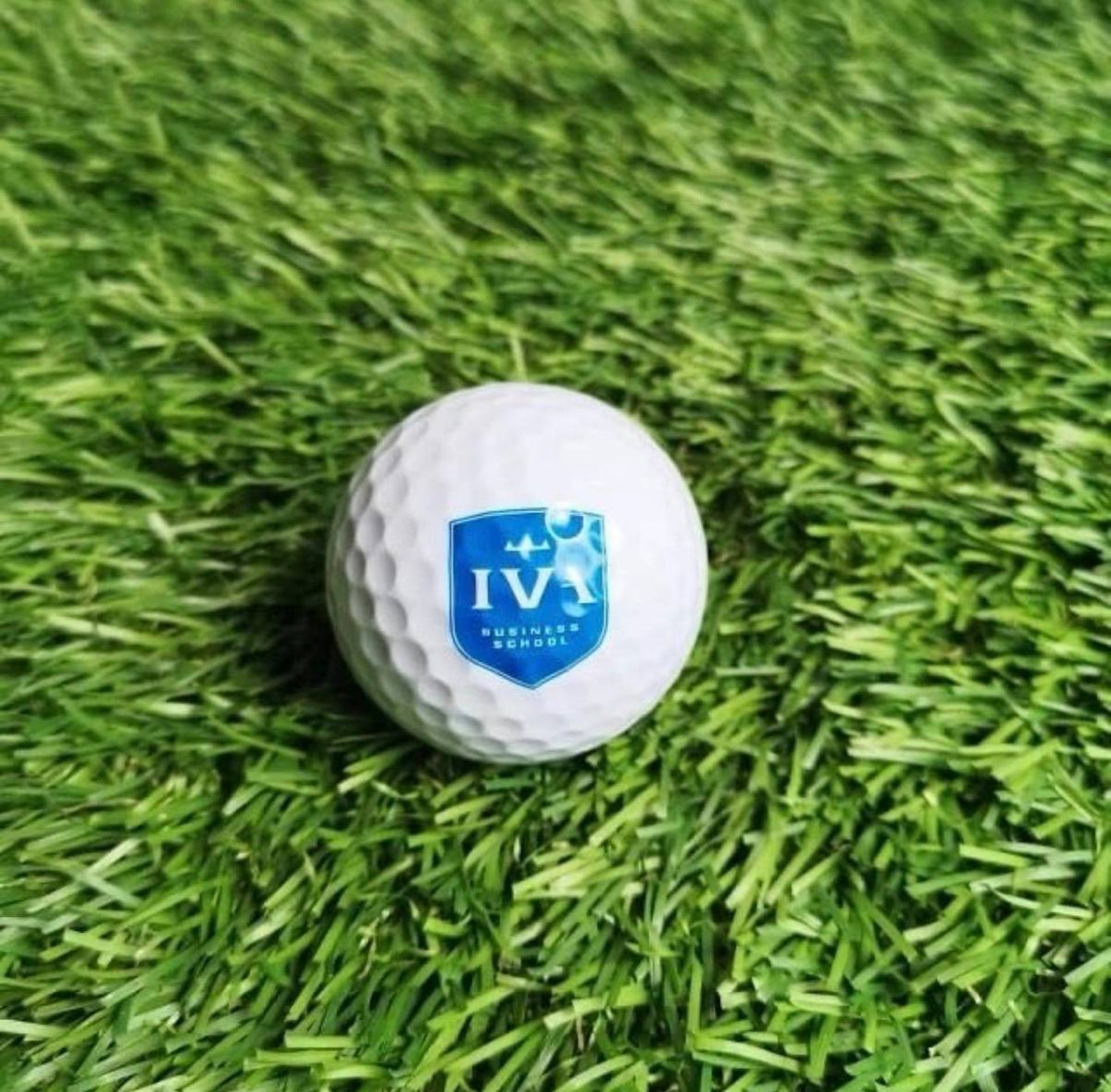 Golfbal met bedrukt logo van IVA Driebergen Business School